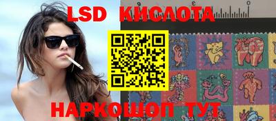 СК Краснодар
