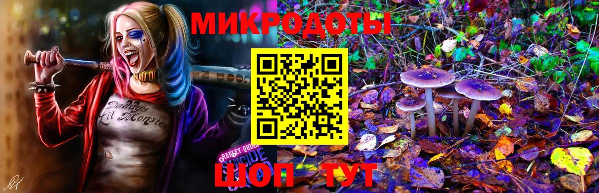 Псилоцибиновые грибы Psilocybe  Вход с VPN  Качканар 