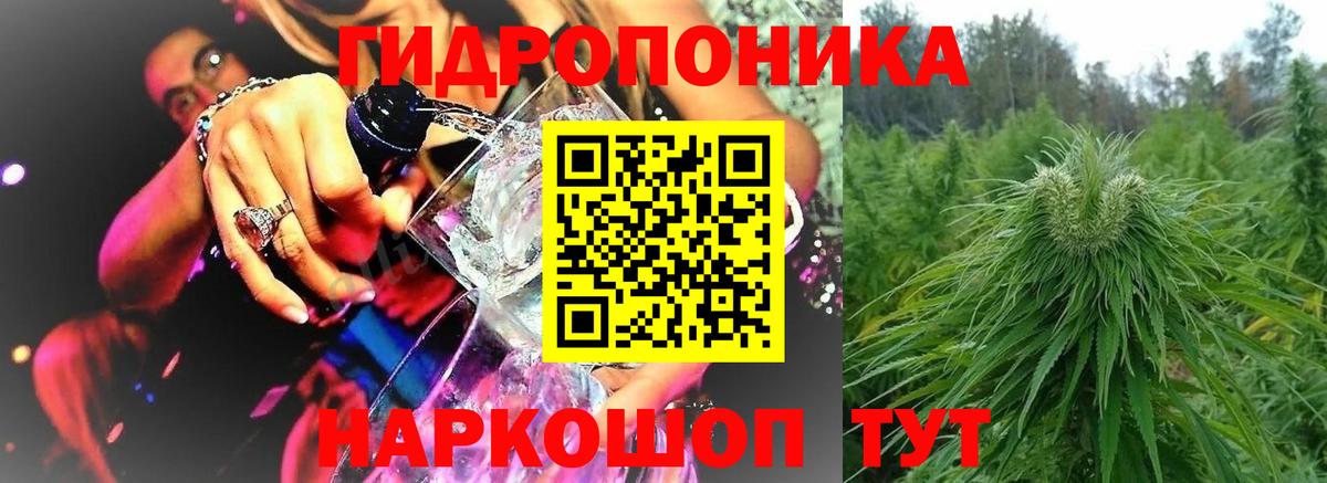 Бошки Шишки конопля  Вход с VPN  Качканар  Конопля конопля 